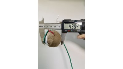 #27386 节日礼花 2.0" 6