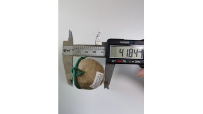 #27385 Festival shells 1.75" 6 balls