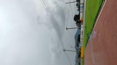 #25535 color smoky plane