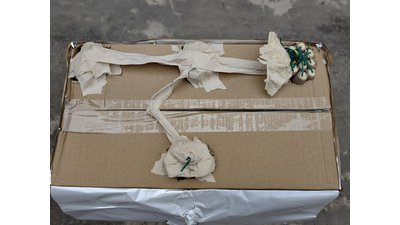 #27804 Roman Candles 0.4" 480 shots