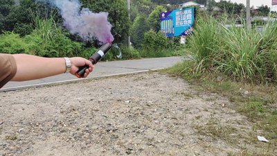 #27889 Smoke Torch 60sec