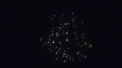 #28035 Bomba 6.0"