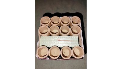 #28105 Cakes 1.0 12 shots