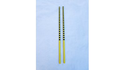 #28234 Hand hold yellow flame and gold Ti-flower