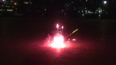 #28192 Spinner as a lotus