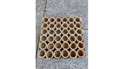 #28275 Cakes 0.7 36 shots