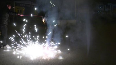 #28085 Bunch firecracker ground blossom