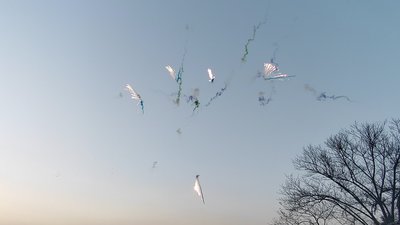 #28261 Humo Bombeta 1.2" 56.0 shots