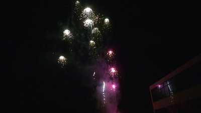 #28328 Jellyfish with music