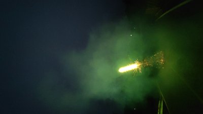 #28335 Bullet Bees