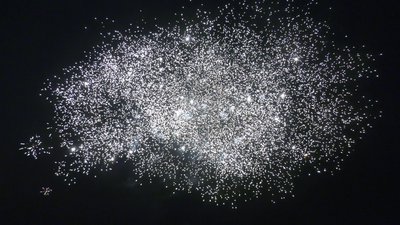 #28349 盆花1.2 25发数
