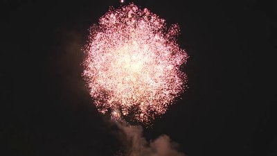 #28394 Módulo Tortas 1.2 48 tiros