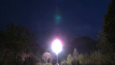 #28425 Одиночный выстрел 1.2"