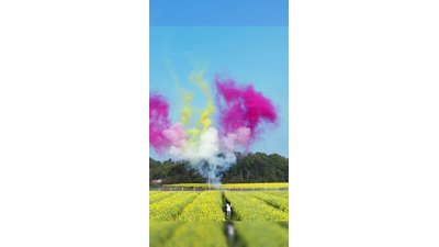 #28475 Humo Bombeta 1.2" 126.0 shots