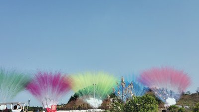 #28474 Humo Bombeta 1.2" 130.0 shots