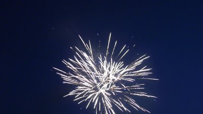 #27251 Módulo Tortas 1.2 48 tiros