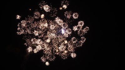 #28796 Tortas 1.0 21 tiros