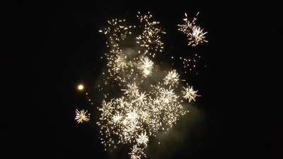 #28801 Module 盆花0.7 36发数