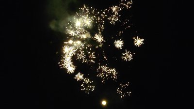 #28800 Módulo Tortas 0.7 25 tiros