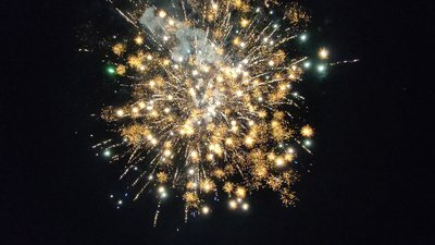 #28806 Module 盆花1.1 56发数