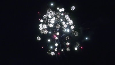 #28826 Module 盆花1.0 16发数