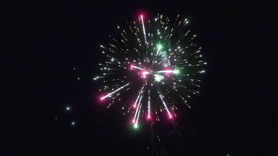 #28827 Module 盆花1.1 19发数