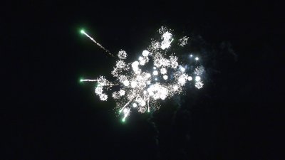 #28829 Module 盆花1.0 25发数