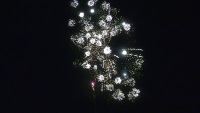 #28828 Module 盆花1.0 19发数