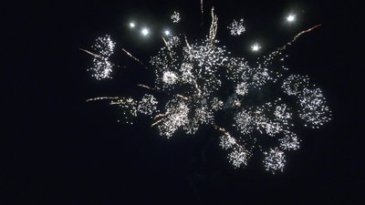 #28823 Module 盆花1.2 12发数