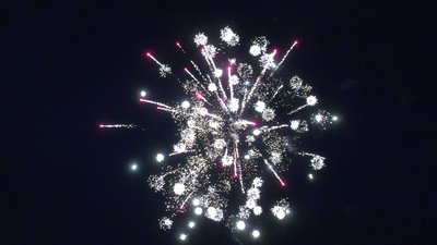 #28825 Module 盆花1.1 36发数