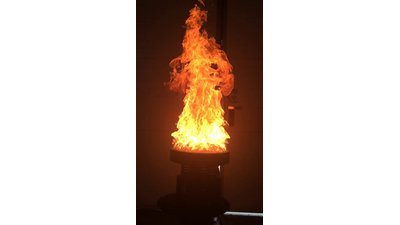 #8743 Cauldron Flame