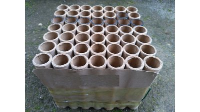 #17336 盆花1.0 49发数